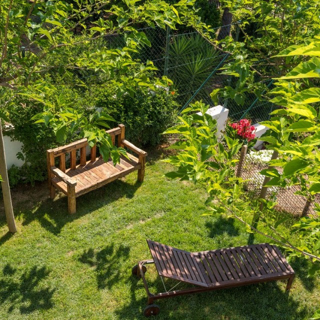 Our Garden